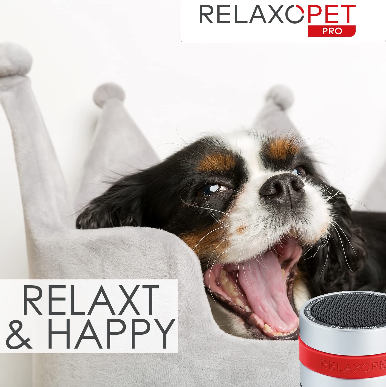 雷犬様　管理60 Amazon | RelaxoPet Pro Dog 犬がリラックスできるドイツ新技術